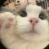 要不还是洗洗睡