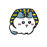 成员信息谢露