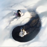 酆泠