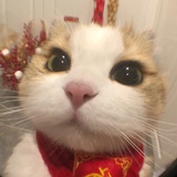 QQ