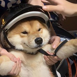 薯条汉堡