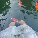 一个豆腐脑儿