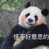 来碗板栗炖汤