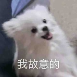 你管我担谁