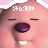 金桔