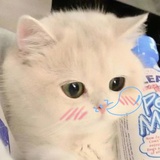 珊珊
