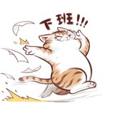 豆友小鱼