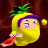波波骡