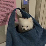 春風沉醉的夜晚