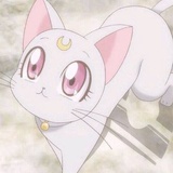 啦啦啦flowerya
