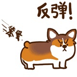 饭团