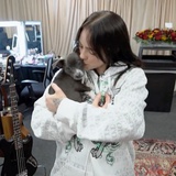 鵜鶘鎮楊桃批發