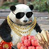 俺要迎娶江心白