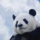 小月