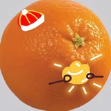 大笨狗狗哟