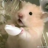豆友eS2KoptTXw