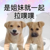 懒羊