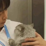 玛卡巴卡轰隆隆
