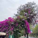 爱电影的篮球人