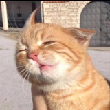 笑笑笑