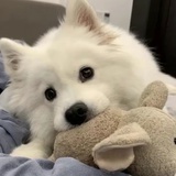 卖保健品的