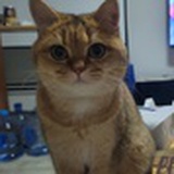 水金