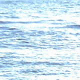 沈星回