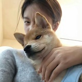 momo