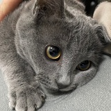 小飞没烦恼
