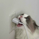 快乐每一天