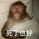 麻猴