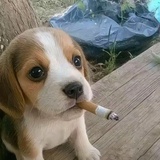 那我也说不知道