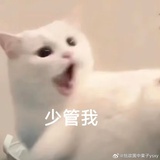山里的蝶