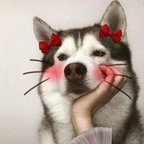 豆友1DxzTkO69g