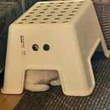 该吃吃
