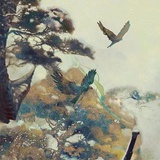 最后一次日落
