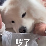 我们是土匪家族