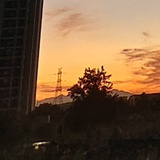 你的嘴也太臭了