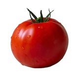 一枚番茄🍅