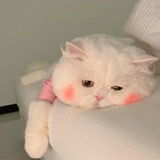 小张同学要早睡