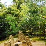 专注吃土二十年
