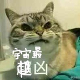 摸摸子