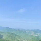 红豆