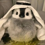 zzzzix