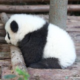 豆友8T8Q