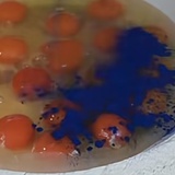 章鱼鸡蛋