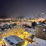 春色满园关不住