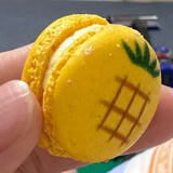 瞬间爆炸巨葵