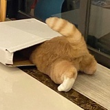 哈？