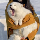 涂糊